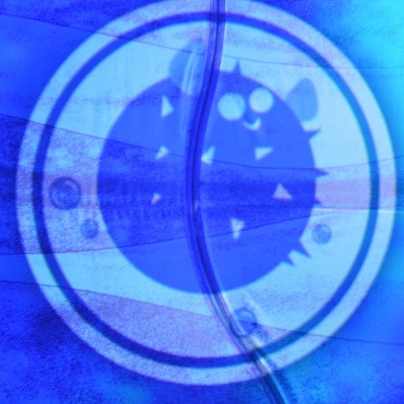 Meet your Posher, Posh - Picture 1 of 1